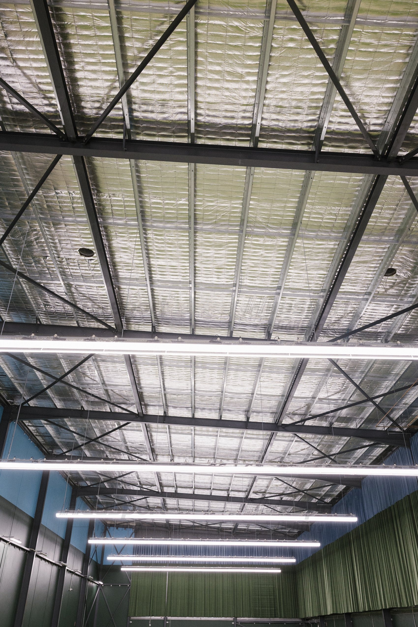 View up into a steel roof structure with long-bar fixture rows suspended below the trusses